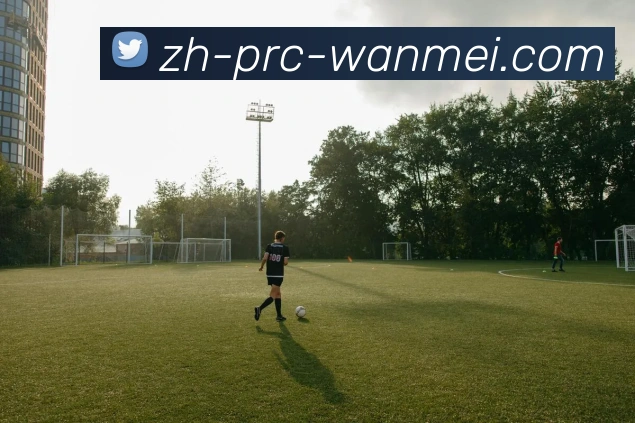 wmsports全站App wmsports全站App